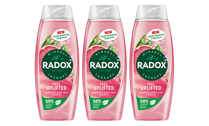 Image 12: Up to 12 Radox Shower Gels 450ml