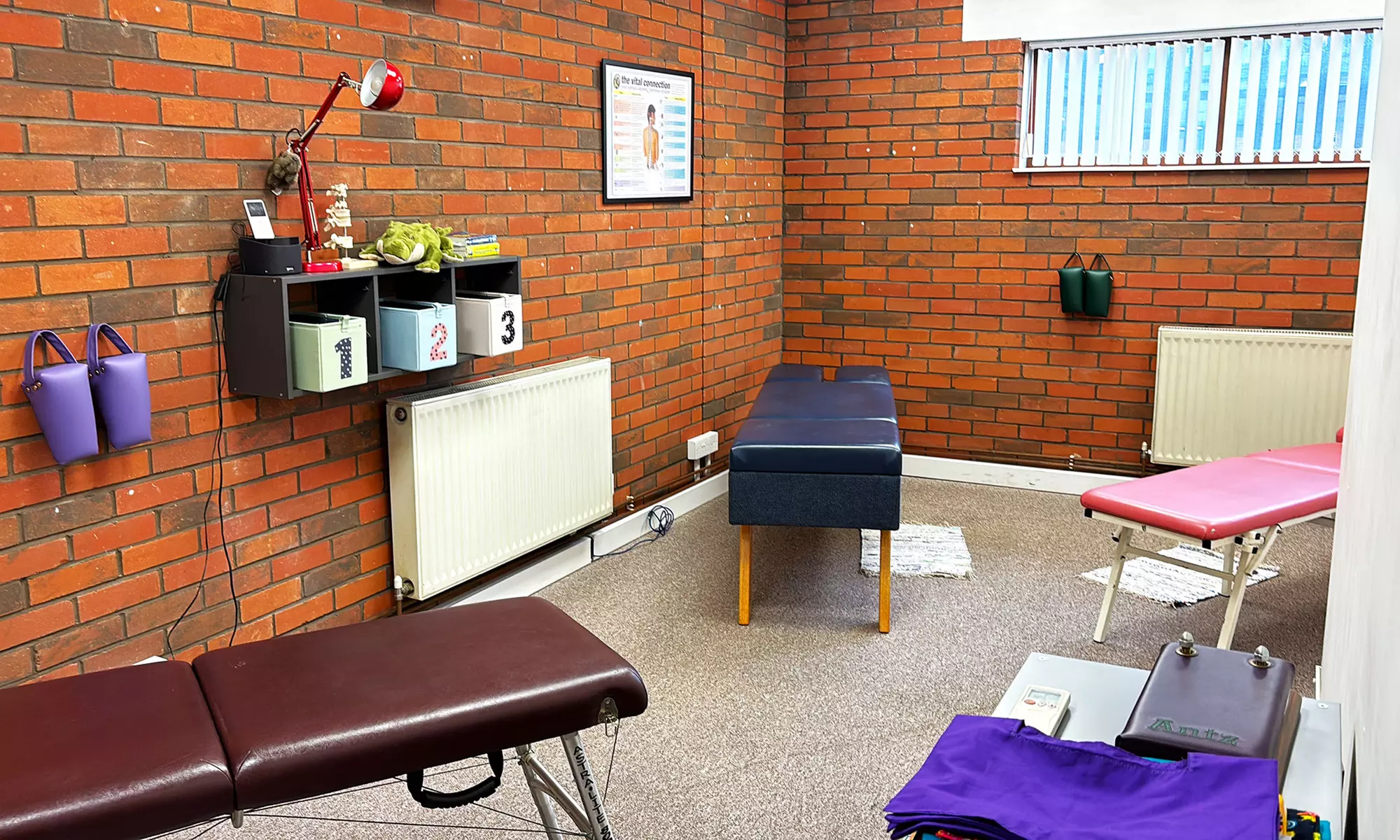 2-Stage Total Chiropractic "MOT": Consultation, Reporting, Screening, Testing & 1 or 2 Follow Up Treatments - Primary Image