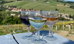Vineyard Tour complete with Wine Tasting & Afternoon Tea for up to 4 People (up to 44% off)