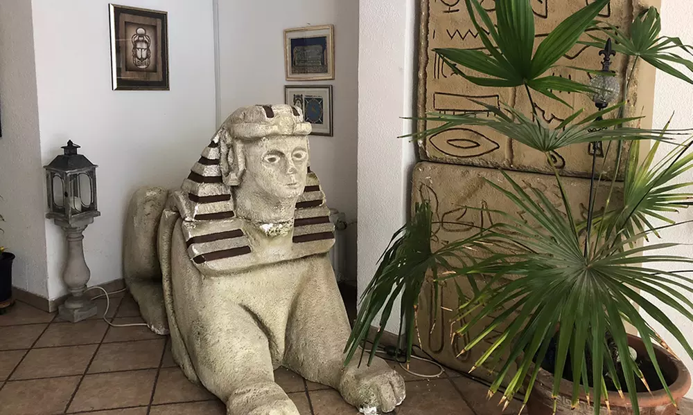 Bauchtanz- oder Fitness-Tanzkurs