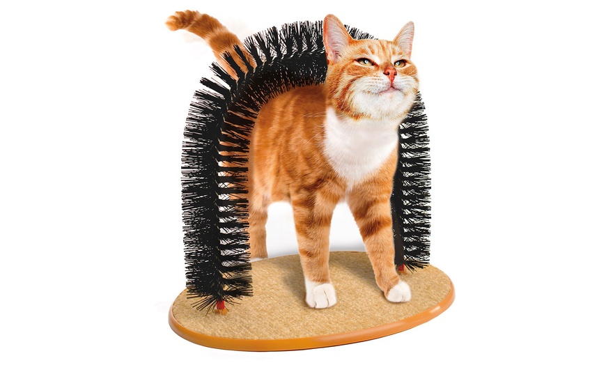 Image 5: Cat-Care Accessories 