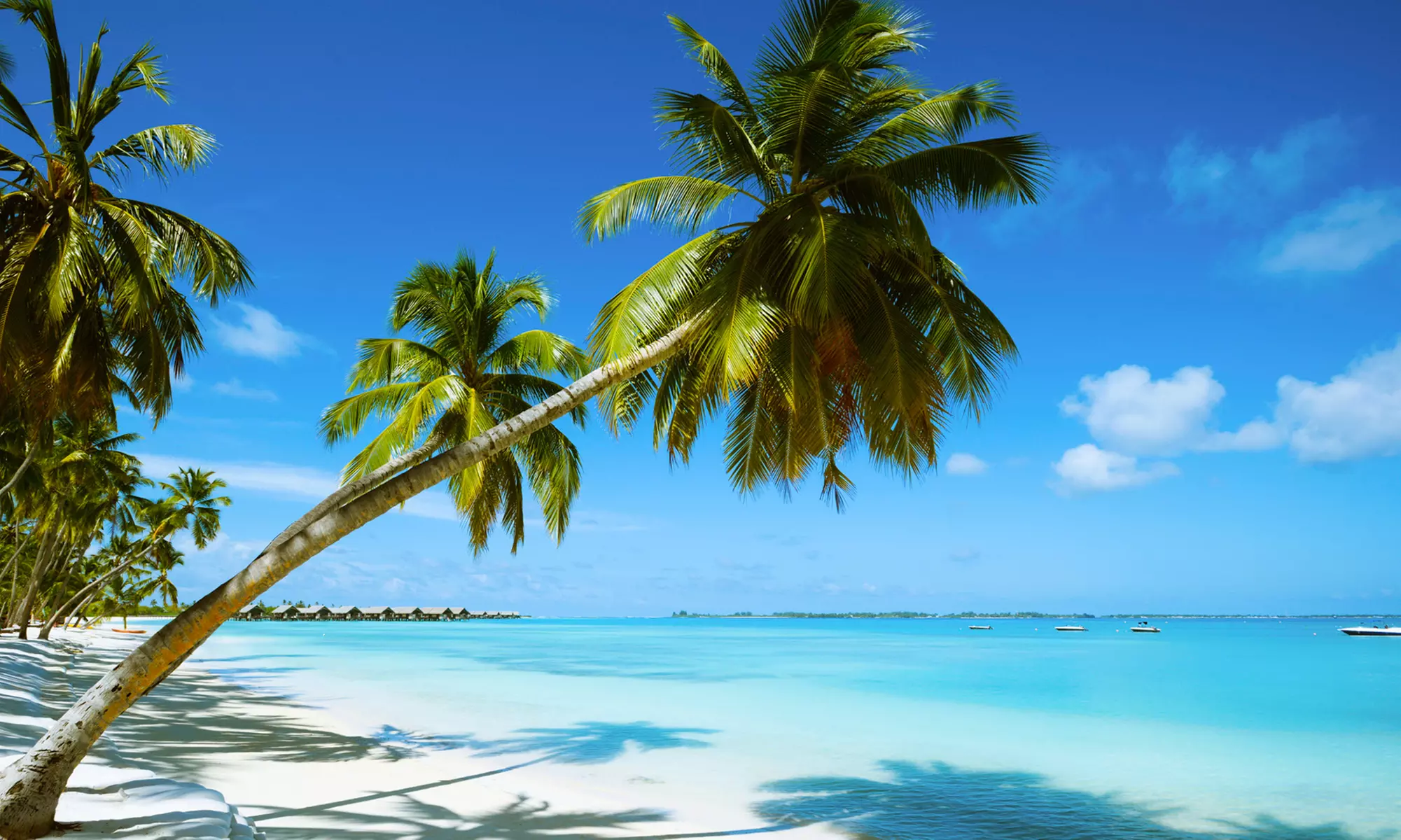 Dom. Rep., Karibik: 8 Tage für 2 + 1 Kind mit Transfers, AI & Butler Service in Boutique Villen am Meer in Playa Grande - Primary Image