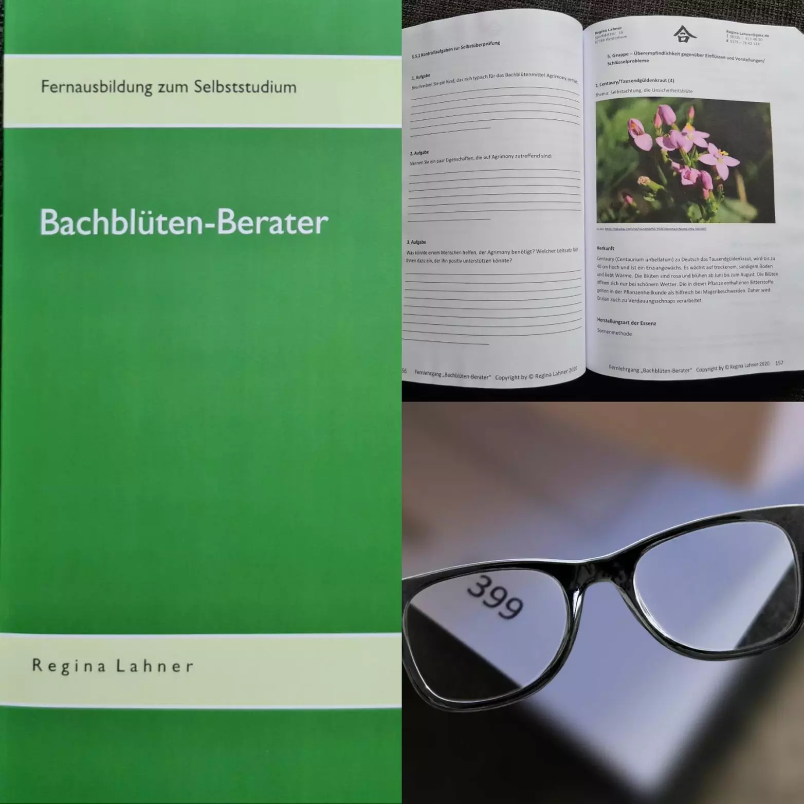 Fernstudium zum Bachblütenberater, 1. Monatslektion