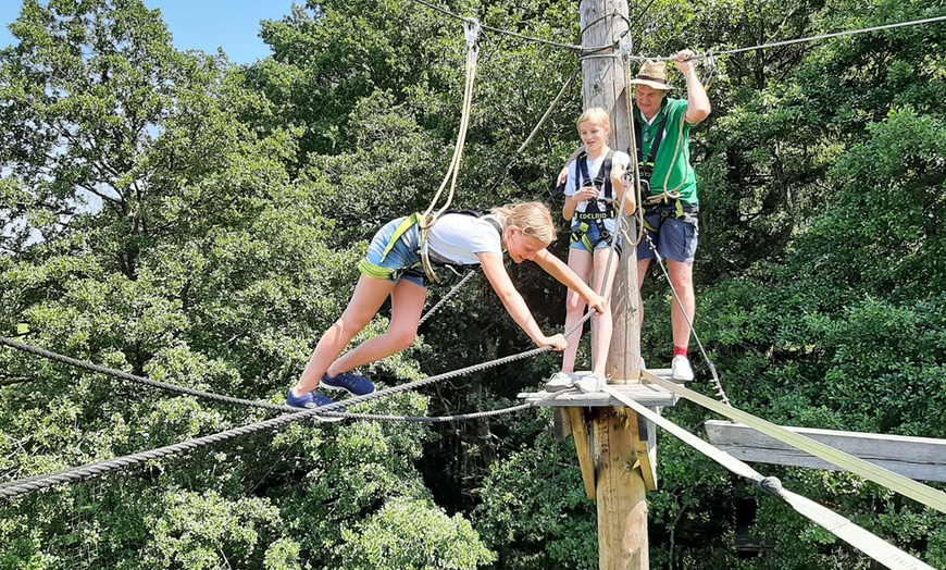 Image 5: Spannendes Outdoor-Abenteuer: 3 Std. Hochseilgarten für 2 oder 4 Pers.