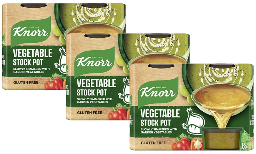 Image 23: Knorr Stock Pots 224g