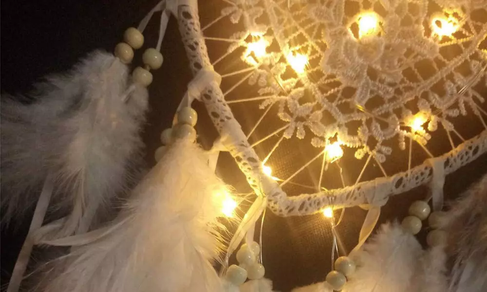 1 of 2 dromenvangers met led-lichtslinger