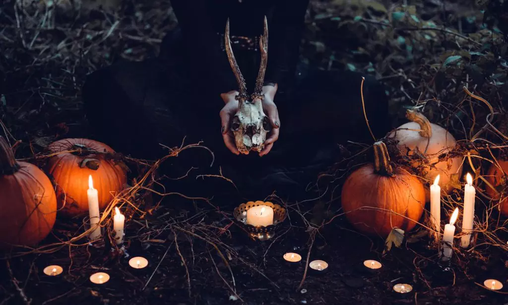 Sinister Trails at Waynes World Pumpkin Patch (Up to 30% Off) - Primary Image