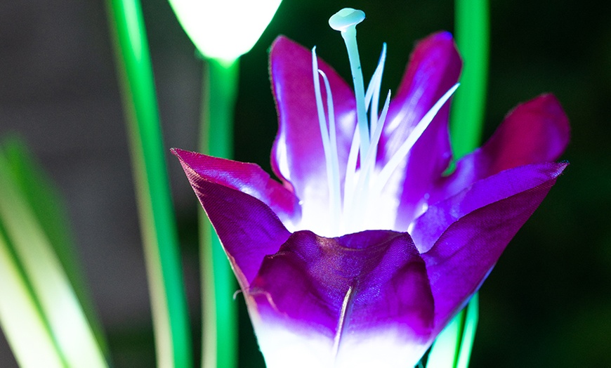 Image 5: Two-, Four- or Six-Pack of Solar Lily Flower Lights