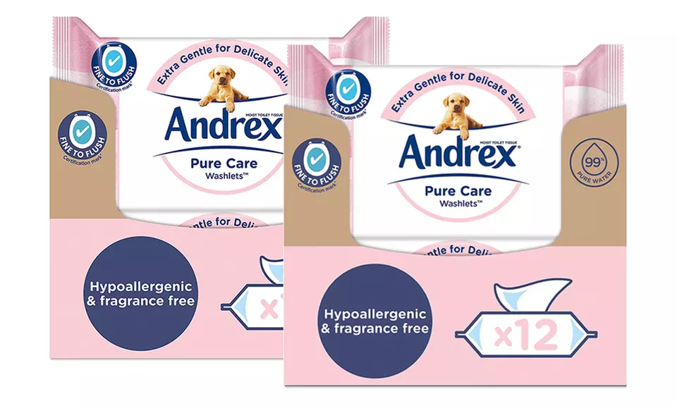 Andrex Washlets Confident Clean Biodegradable & Flushable Toilet Wipes