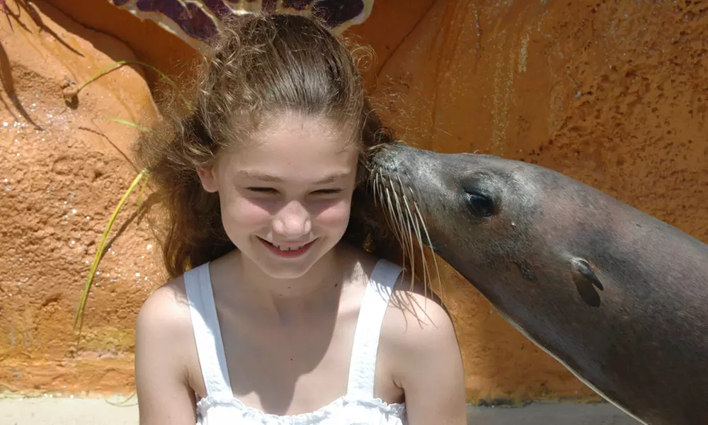 One Adult or Child General Admission to Miami Seaquarium (Up to 50% Off)  - Second Medium