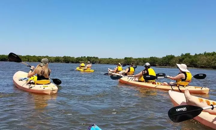 Up to 46% Off Kayak Tours from Daytona Beach Kayaking