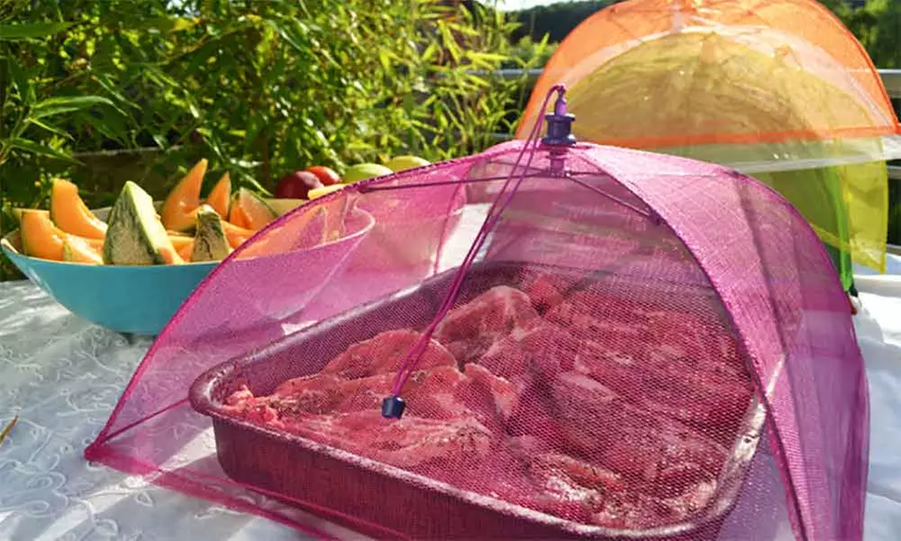 1, 2 ou 4 cloches alimentaires pliables - Primary Image