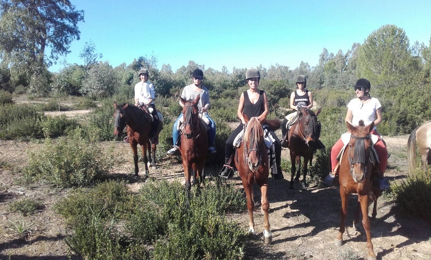 Image 7: Ruta a caballo para 2 o 4 personas en La Suara