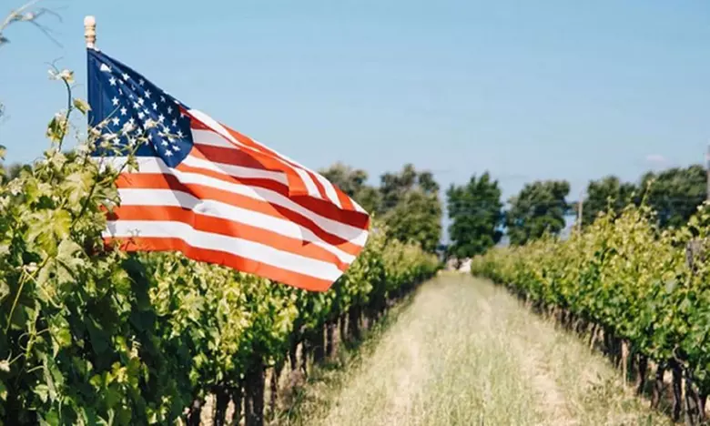 All American Wines 15-Pack (Red, White, or Mixed) (77% Off) - Second Medium