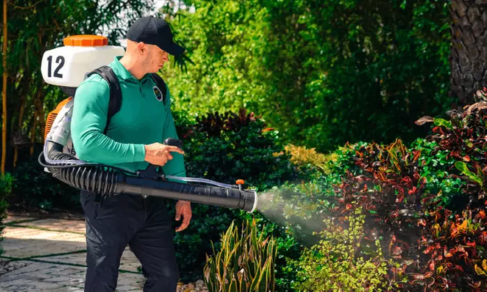 Exterior Mosquito-Control Spray for Up to 1 or 3 Acres from Mosquito Joe Of Gainesville-Ocala (Up to 55% Off) - Primary Image