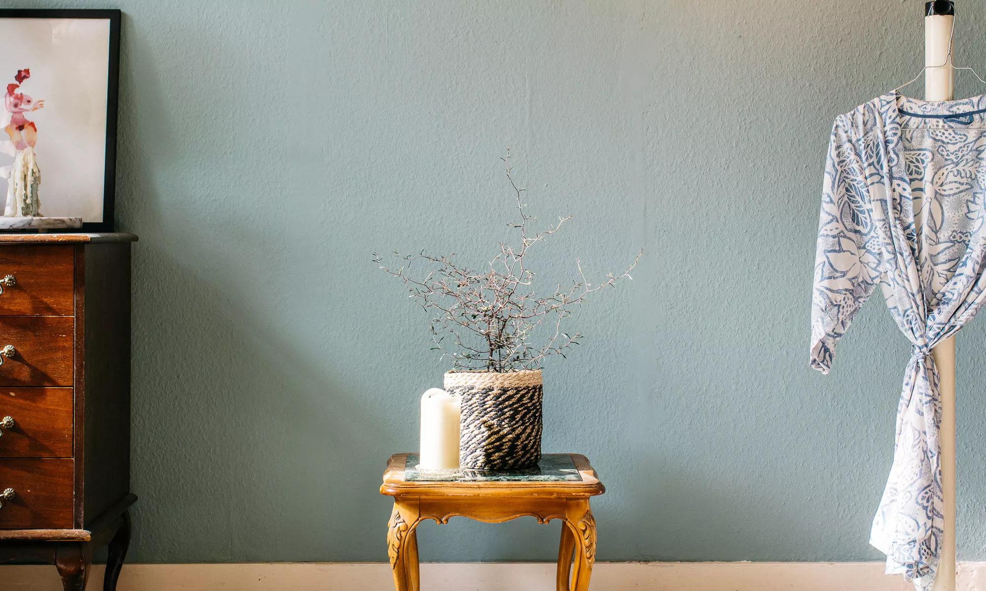 Lot de 3 plantes Corokia Cotoneaster, pot inclus - Primary Image