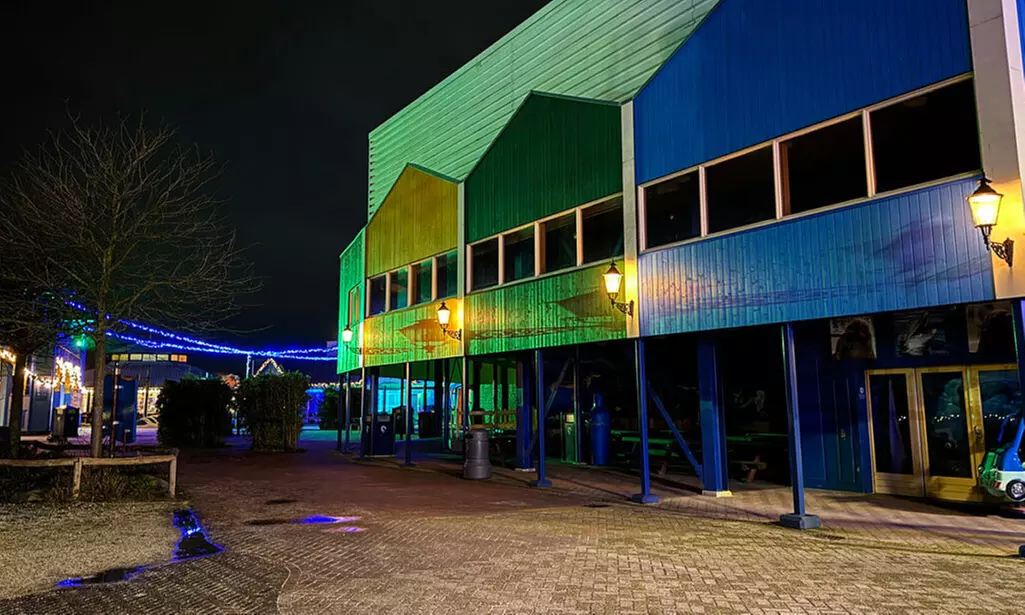 Einrittskarte "Dolfinarium" in Harderwijk, Niederlande für 1 Person