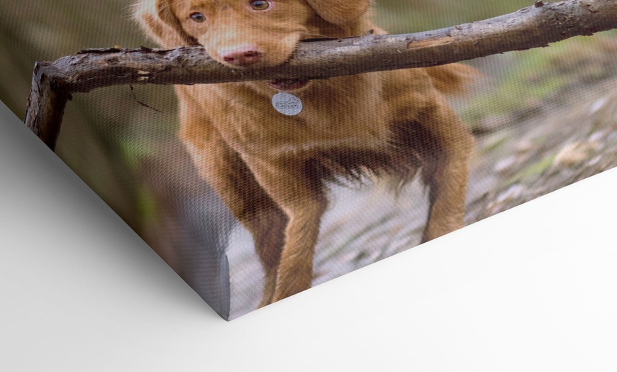 Image 5: Personalised Canvas from Custom Koala