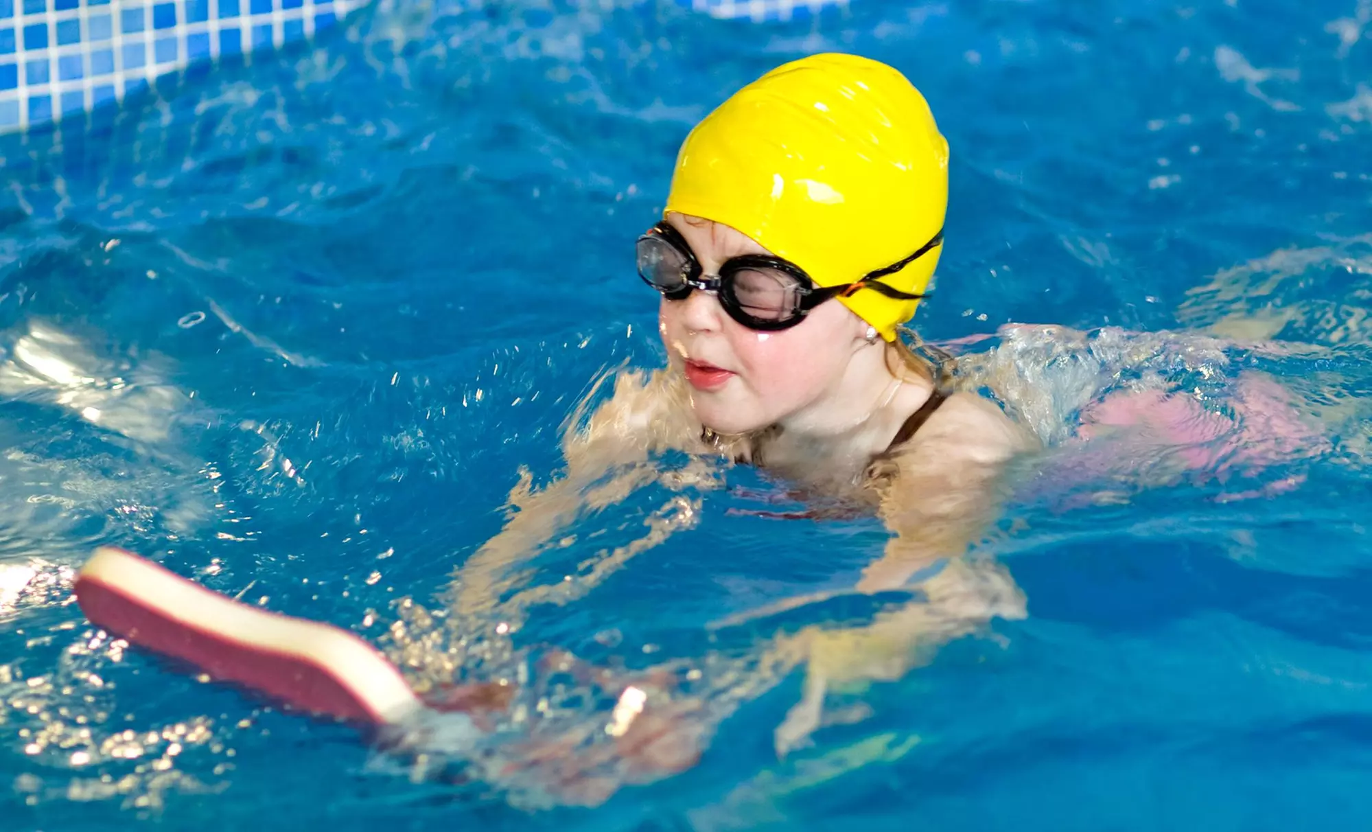 $20 for $40 Worth of Services — DC Life Aquatics - Primary Image