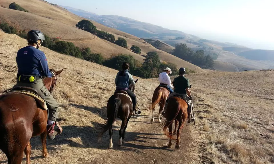 Two 60-Min. Riding Lessons or One 60-Min. Trail Ride w/ 30-Min. Intro Lesson at Chaparral Ranch (Up to 39% Off) - Primary Image