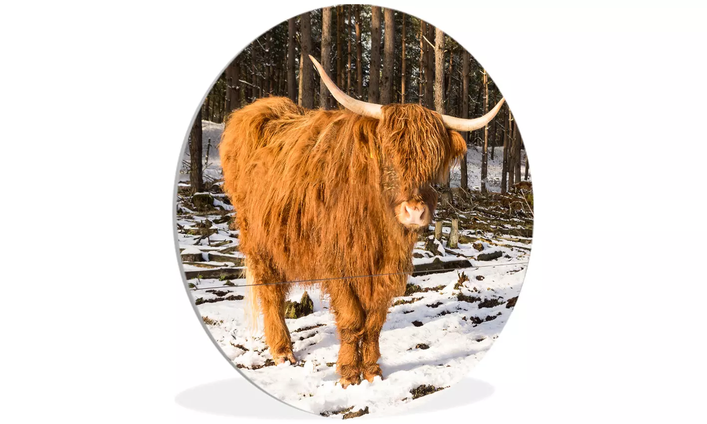 Jouw foto op een wandcirkel