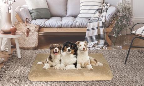 Tappetino per animali Sogni e Capricci, disponibili in 3 dimensioni e colori