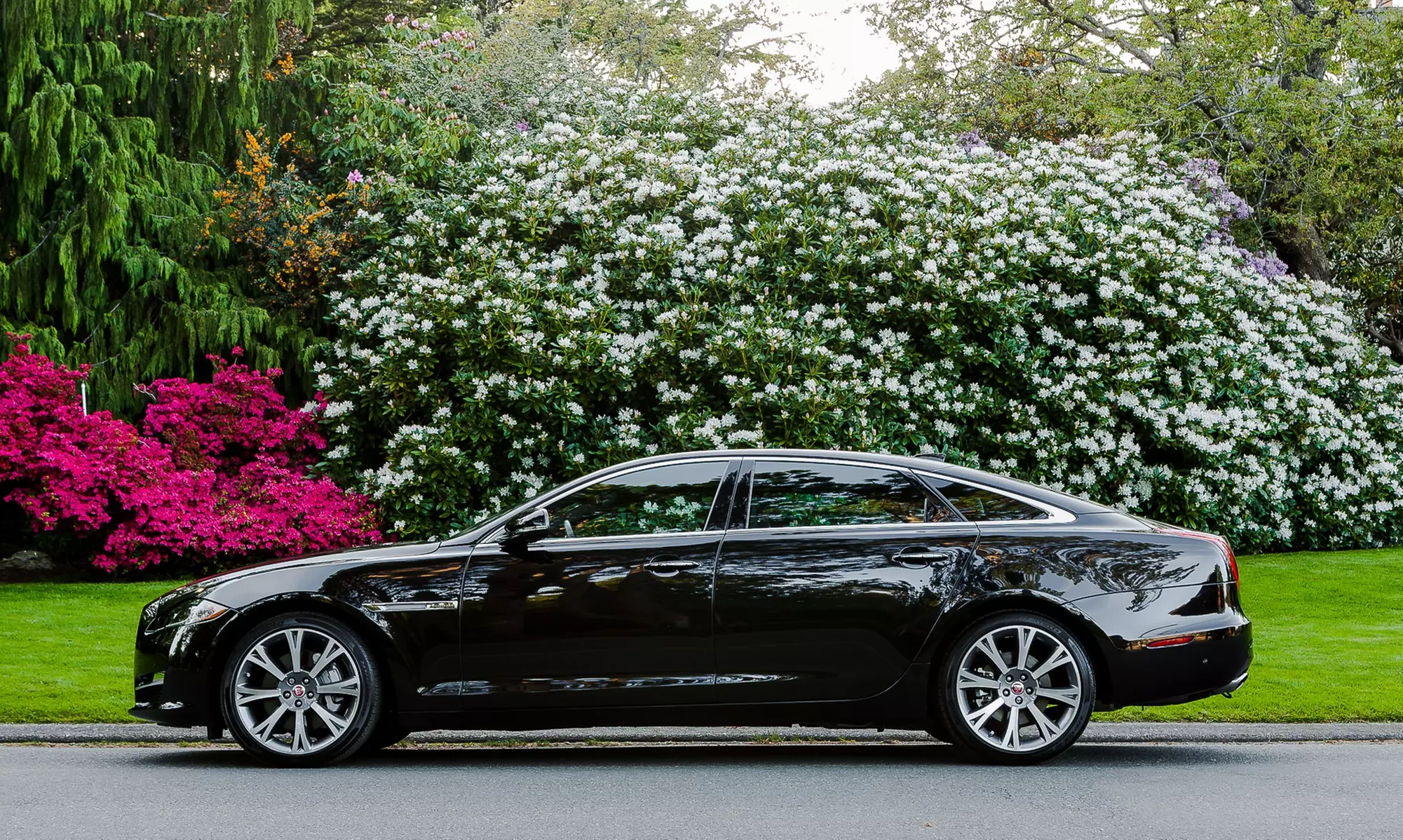 One- or Two-Day Alfa Romeo, Jaguar, or Land Rover Rental at Epitome Luxury Car Rental (Up to 53% Off) - Second Medium