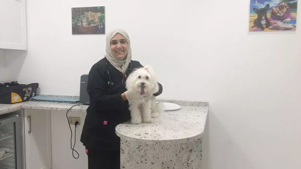 Choice of Pet Medical Checkup, Examination & Deworming