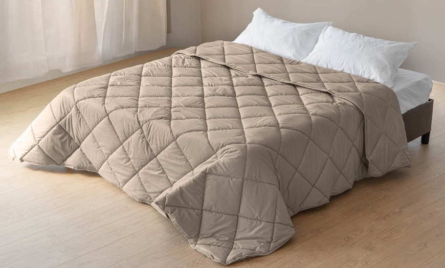 Image 1: Fluwelen sprei