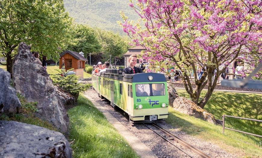 Image 4: 1 entrée pour enfant ou adulte au Swiss Vapeur Parc