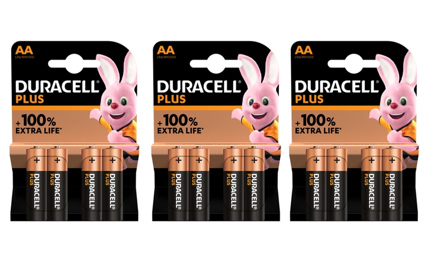 Image 9: 2 à 24 piles Duracell