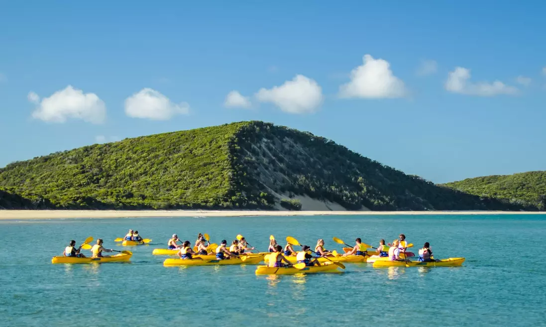 Dolphin-View Kayak Tour or Private Day Tour to Double Island Point