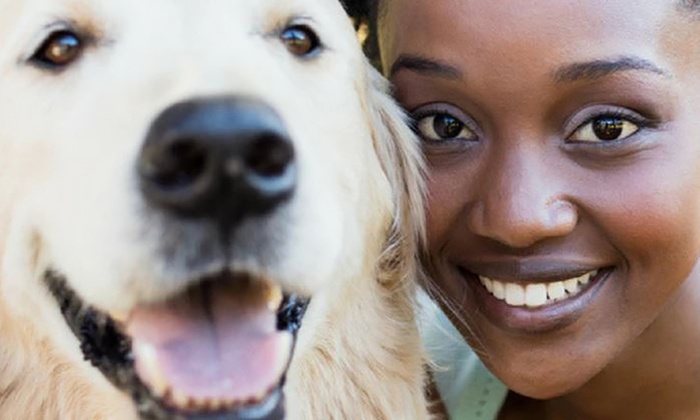 "Dressage & garde d’animaux de compagnie" avec Holly and Hugo