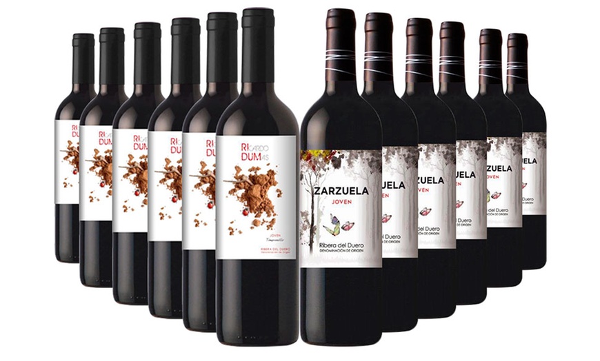 Image 1: 12 Bottles of Spanish Red Wine