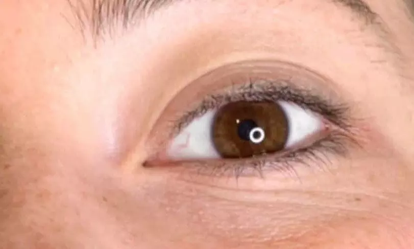 Eyelash lift or Brow lamination with tint at Zee Beauty And Nails Spa