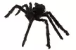 Giant Spider & Web Halloween Decoration Props - Second Medium