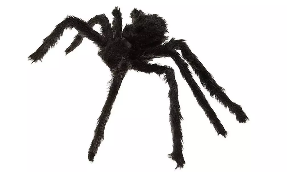 Giant Spider & Web Halloween Decoration Props