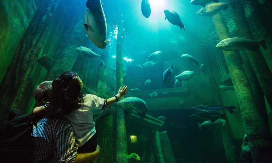 Image 1: 1 o 2 entradas para niños y adultos en el Acuario de Zaragoza