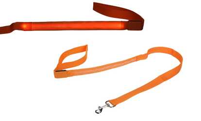 LucyBelle Pets LED Dog Leash