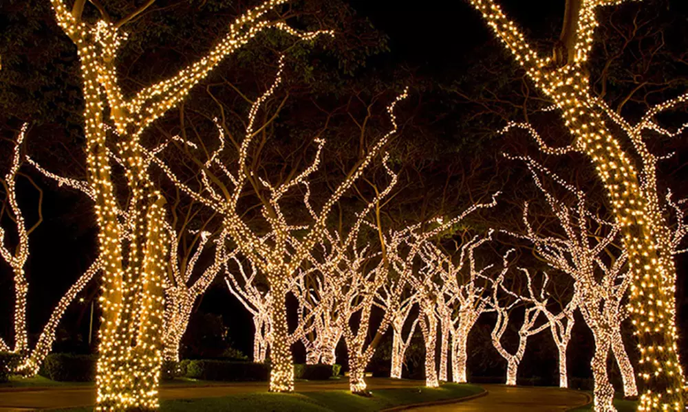 1, 2 ou 3 guirlandes solaires de 50, 100 ou 200 LED blanc chaud - Primary Image