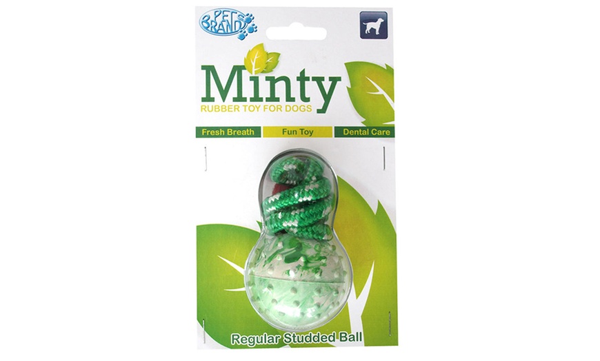 Image 5: Minty Rubber Toys for Dogs 