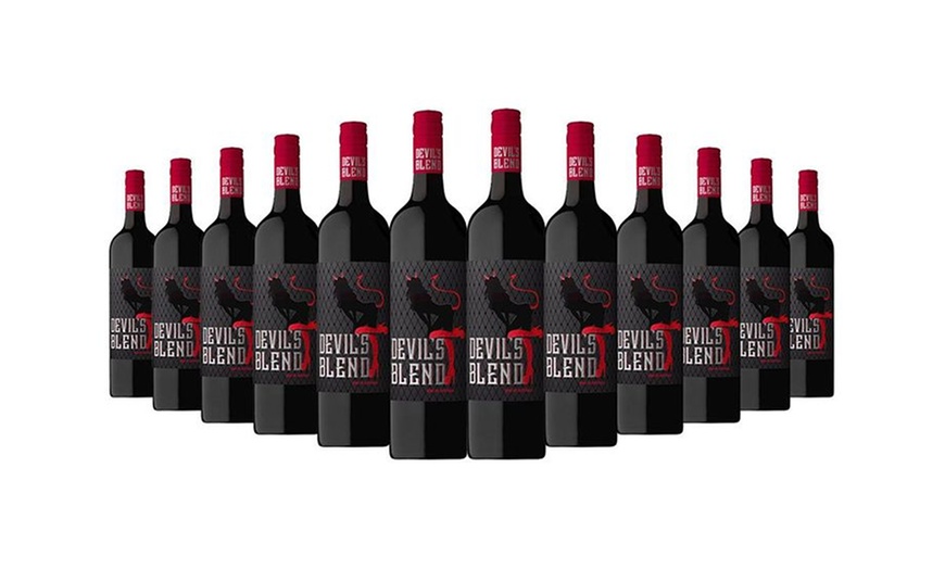 Image 1: Devil's Blend Shiraz Cabernet - Twelve Bottles from Just Wines