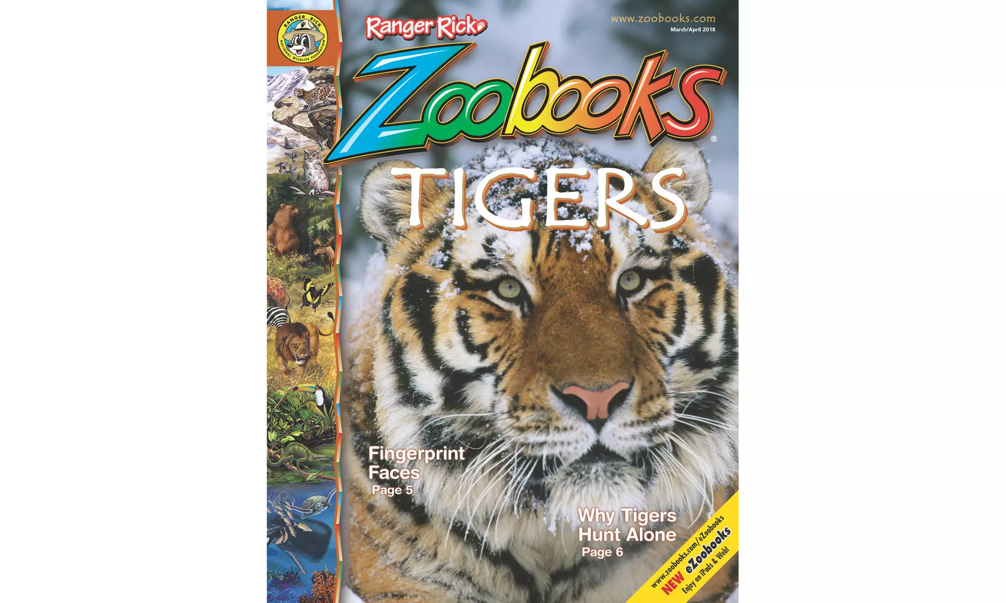 Zoobooks Magazine One or Two Year Subscriptions in Print, Digital or Print and Digital (Up to 75% Off)  - Primary Image