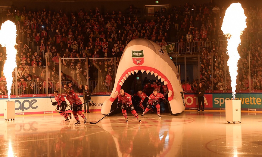 Image 4: DEL-Heimspiel der Kölner Haie