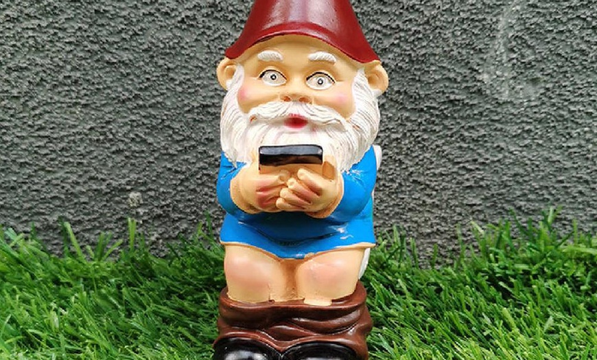 Image 12: Funny Gnome