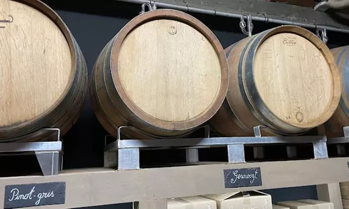 Dans l'univers envoûtant du vin : session d'œnologie à 2 ou à 4