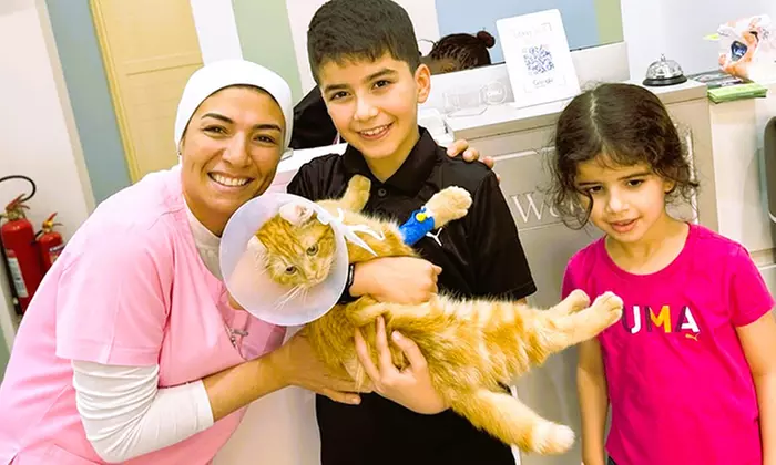 Cat or Dog Consultation, Deworming, and Optional Annual Vaccine