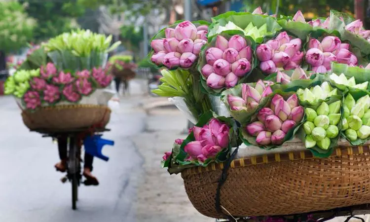 Grand Vietnam: 15-Day Tour with Meals, Hotel Accommodation, and More