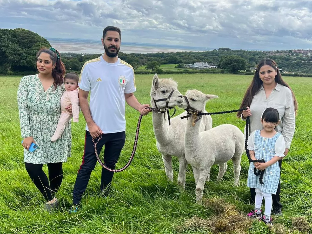 Up to 25% Off on Zoo - Petting at Greenhill Alpaca Trekking