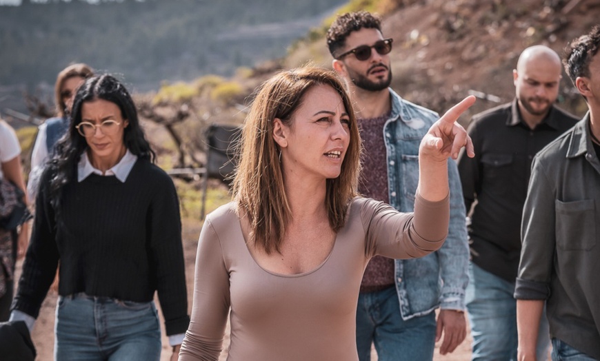 Image 16: Menú de comida con visita a bodega y cata de vinos para 1 o 2 personas